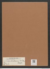 Navicula distans (W.Sm.) Ralfs. (de-Toni-Nr.: Genus 1, Species 130) Zeichnungen Sammlung Grunow Mappe 00114 (Herbarium_W_Grunow_drawings_Folder_00114)